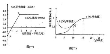 在一定實驗條件下.測得某綠色植物的光合作用和細胞呼吸分別如圖所示.用32p標記的礦質營養液培養某植物幼苗一段時間后.在根細胞中檢測和推斷32p的累積量.吸收量和運輸量如圖