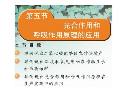 光合作用和呼吸作用原理的應用 PPT課件 蘇教版
