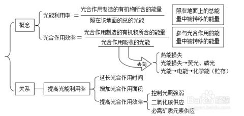 高中生物巧妙復(fù)習(xí)之光合作用歸納