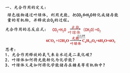 必修一5.4.2 光合作用與能量轉(zhuǎn)換